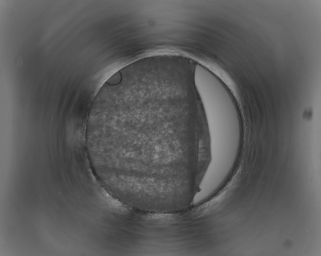 X0000091900953200710031819