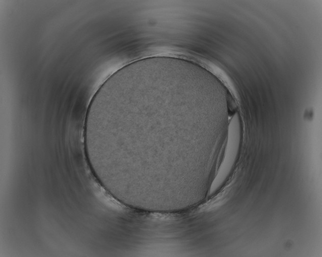 X0000091900954200710031820