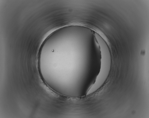 X0000091900955200710031820