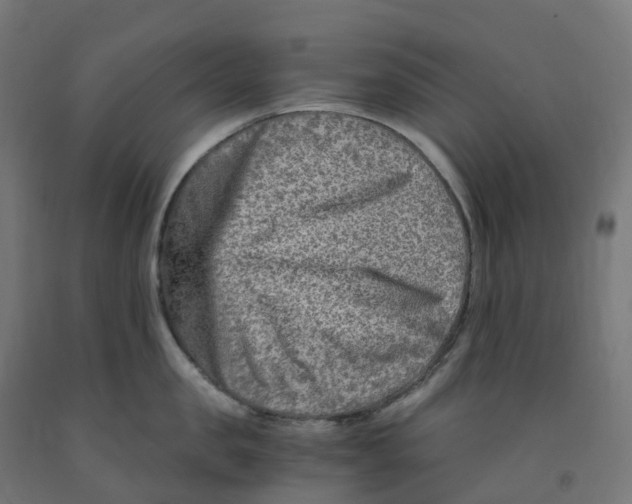 X0000091900957200710031820