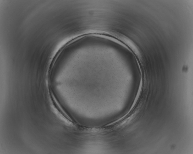 X0000091900958200710031820