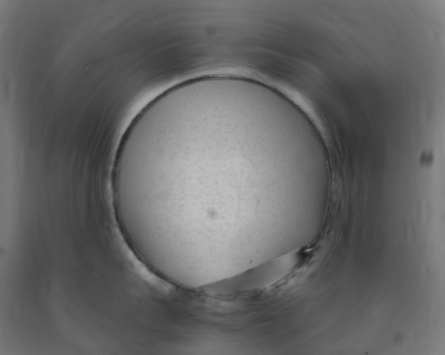 X0000091900959200710031820