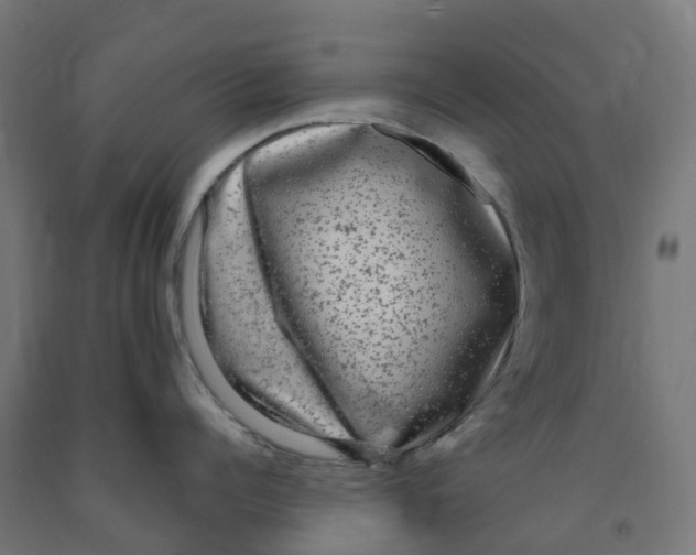 X0000091900960200710031820