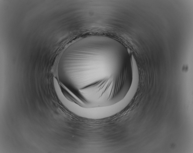 X0000091900964200710031819