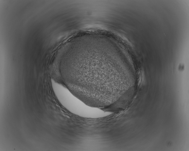 X0000091900965200710031819