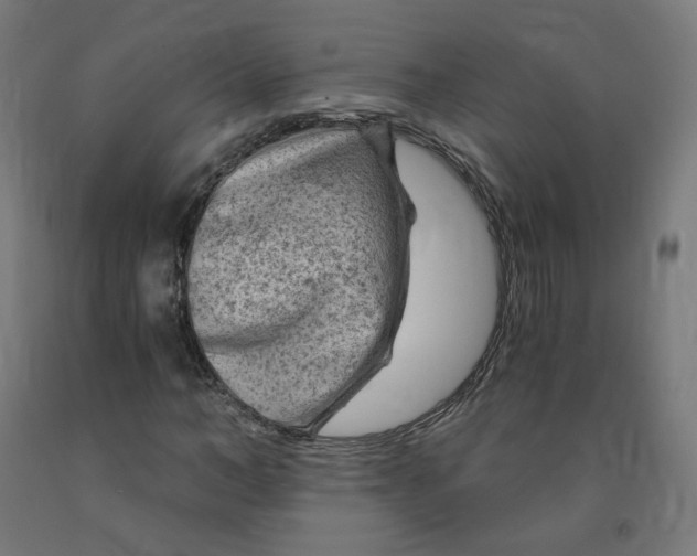 X0000091900966200710031819