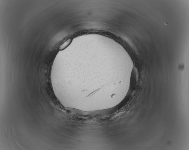 X0000091900967200710031819