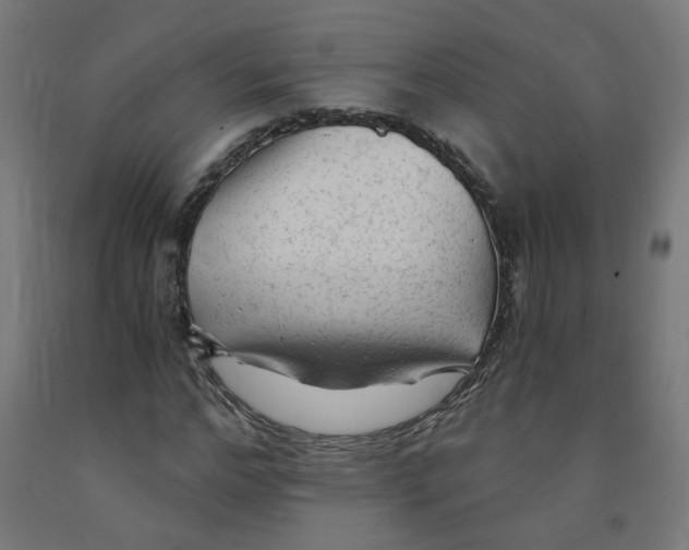 X0000091900968200710031819