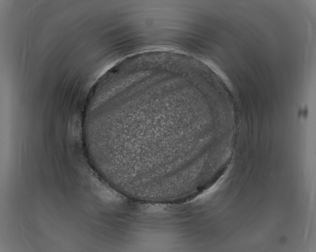 X0000091900969200710031819