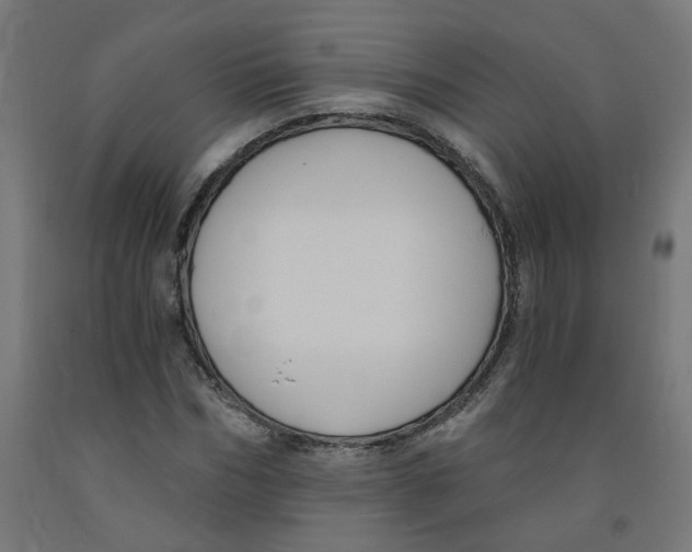 X0000091900970200710031819