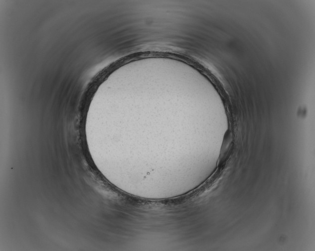 X0000091900971200710031819