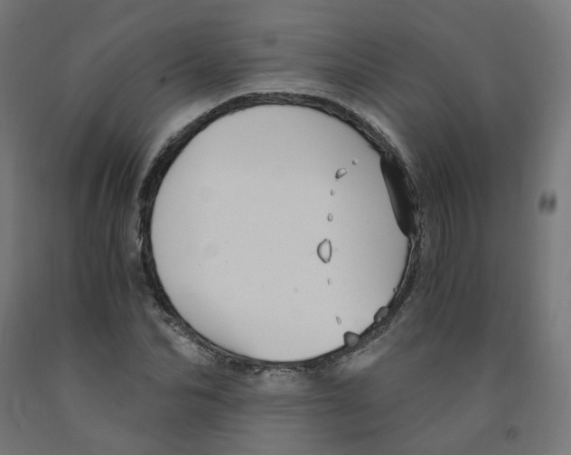 X0000091900974200710031819