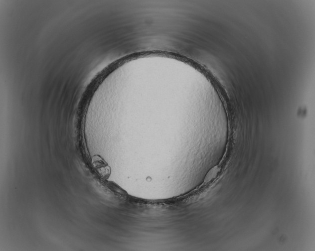X0000091900975200710031819