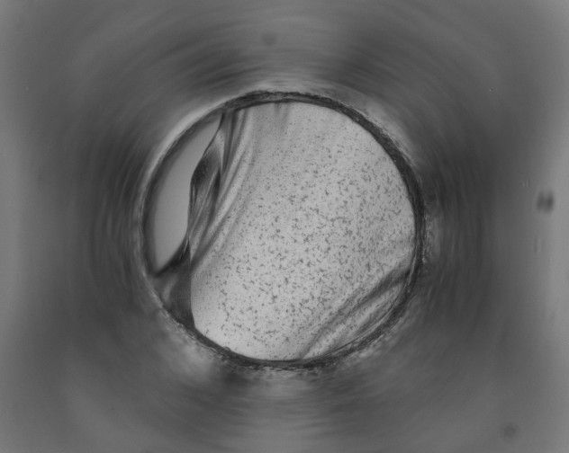 X0000091900976200710031819