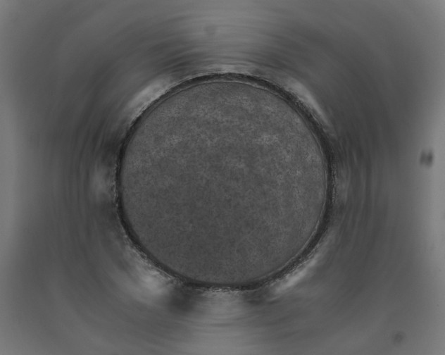 X0000091900977200710031819