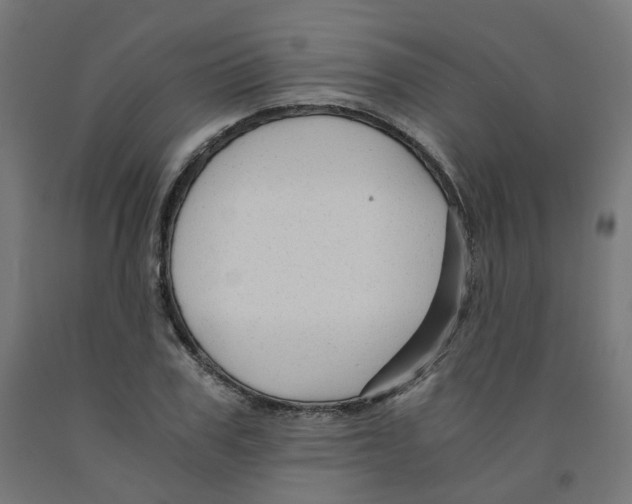 X0000091900979200710031819