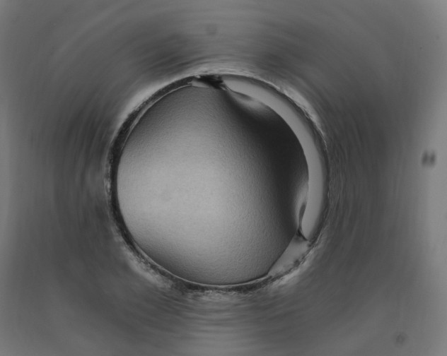 X0000091900981200710031819