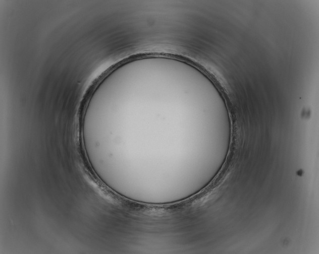 X0000091900982200710031819