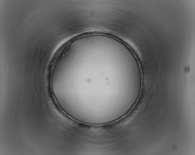 X0000091900983200710031819