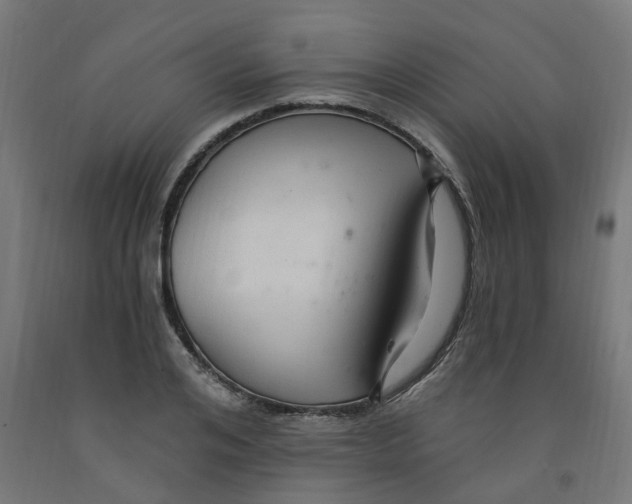 X0000091900984200710031819