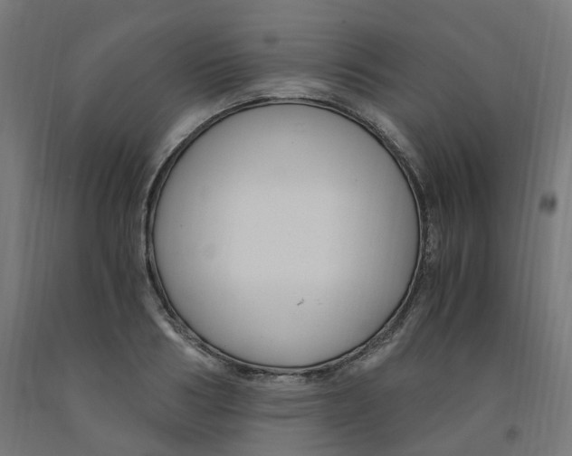 X0000091900986200710031819