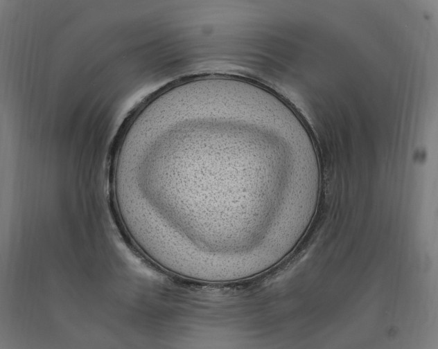 X0000091900987200710031819