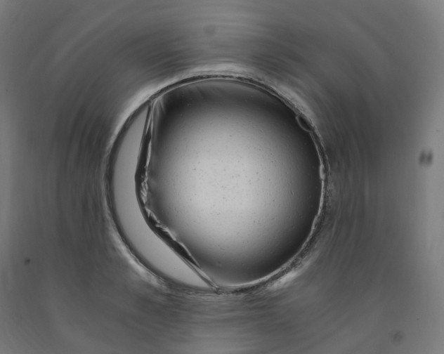 X0000091900989200710031819