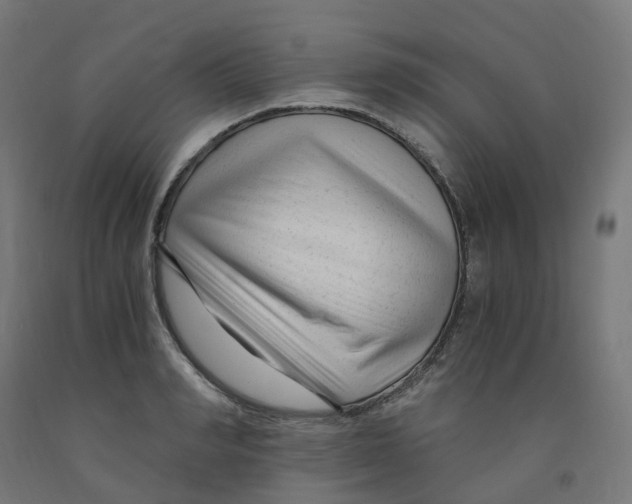 X0000091900990200710031819