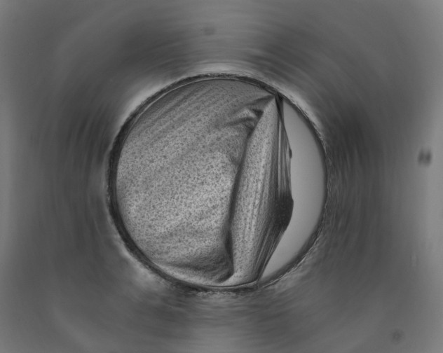 X0000091900991200710031819