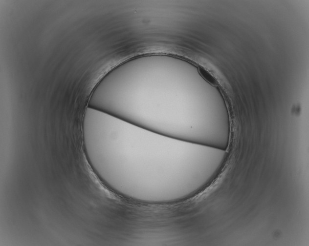 X0000091900993200710031819