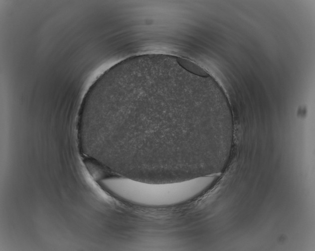 X0000091900995200710031819