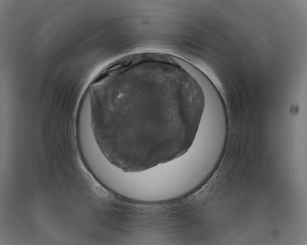 X0000091900996200710031819