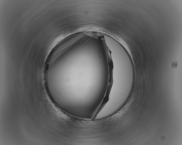 X0000091900997200710031819