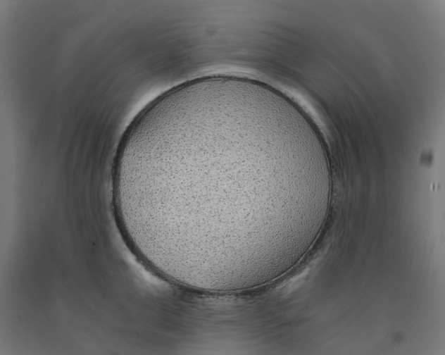 X0000091900999200710031819