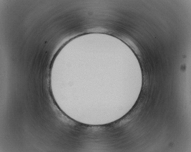 X0000091901000200710031818