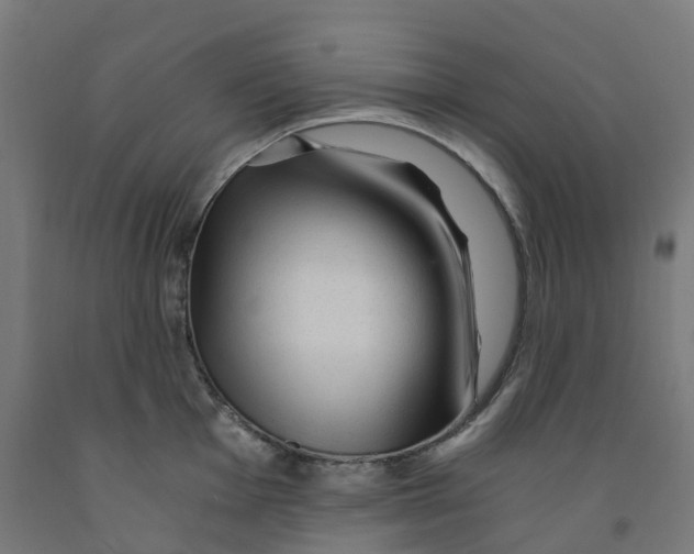 X0000091901001200710031818