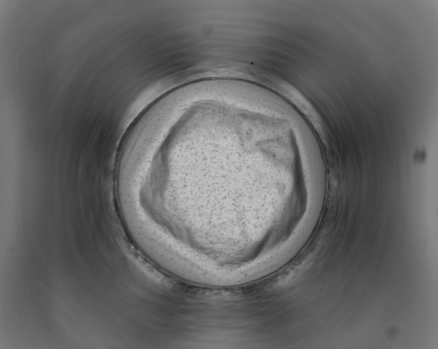 X0000091901002200710031818