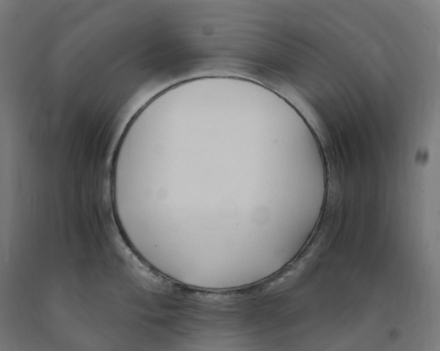 X0000091901004200710031818