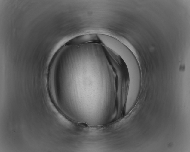 X0000091901005200710031818