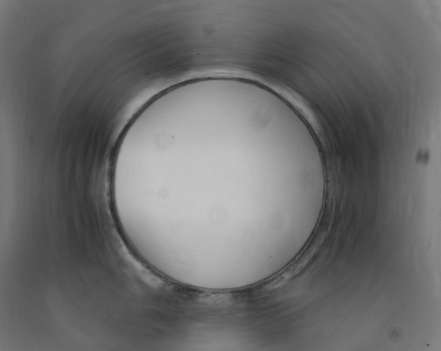 X0000091901006200710031818