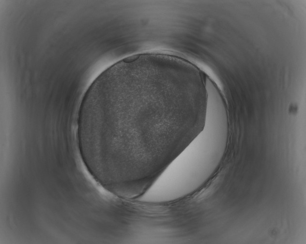 X0000091901007200710031818