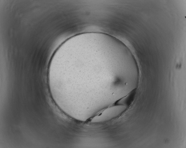 X0000091901008200710031818