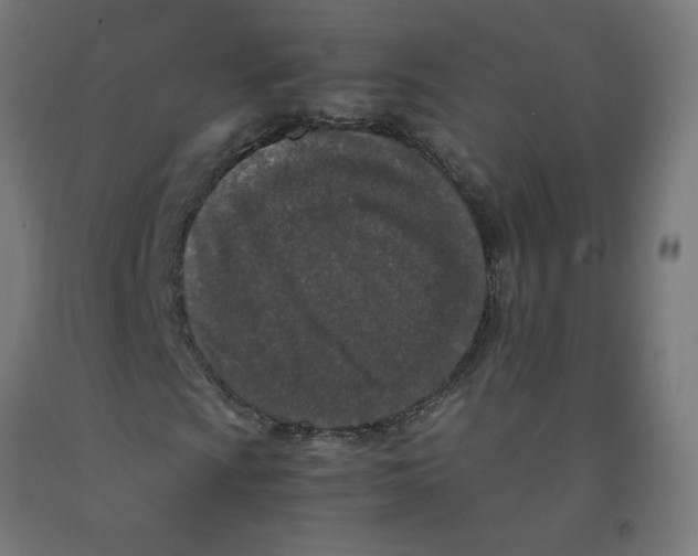 X0000091901009200710031818