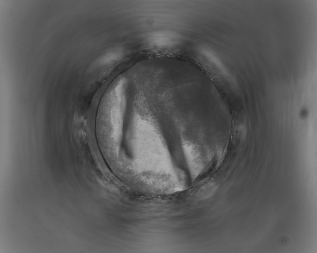 X0000091901010200710031818