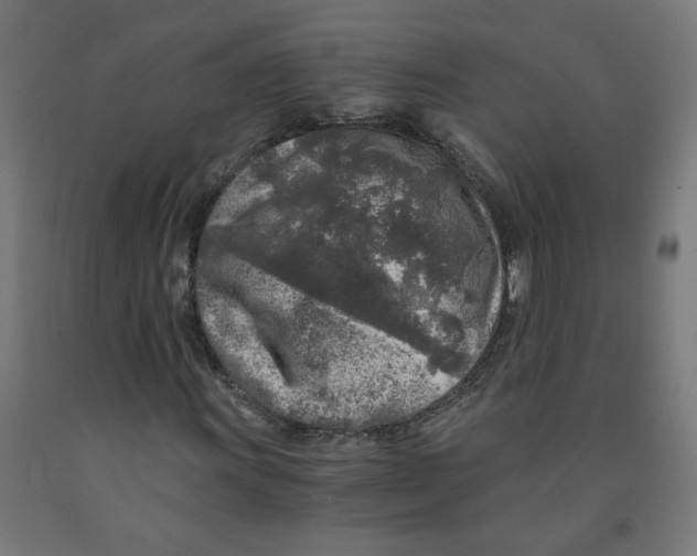 X0000091901011200710031818