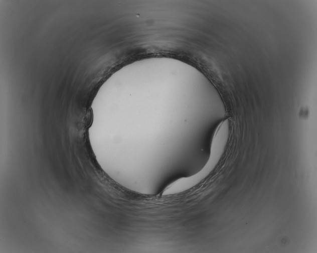 X0000091901012200710031818