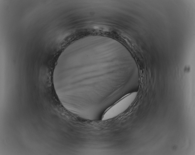 X0000091901013200710031818