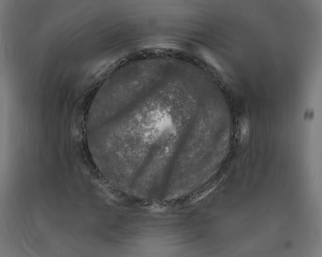 X0000091901014200710031818