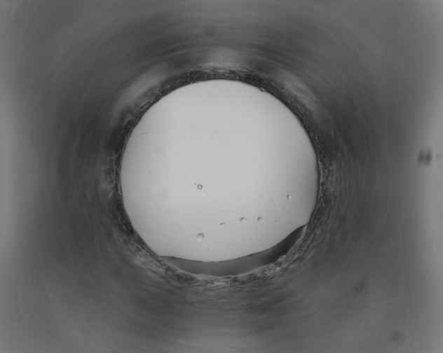 X0000091901015200710031818