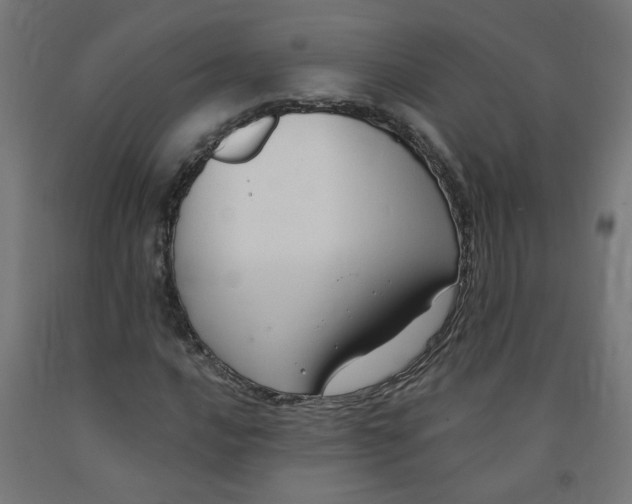 X0000091901016200710031818